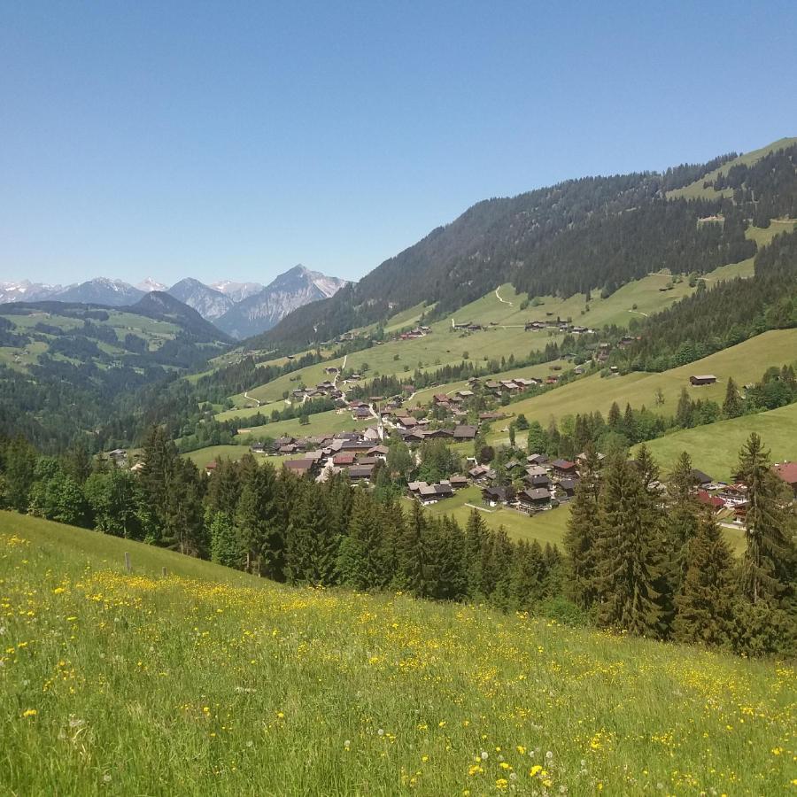 Haus Raimund " Klein Aber Fein " Apartamento Alpbach Exterior foto