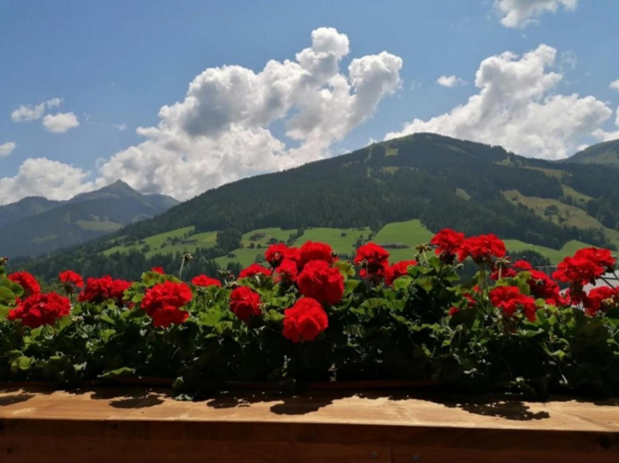 Haus Raimund " Klein Aber Fein " Apartamento Alpbach Exterior foto