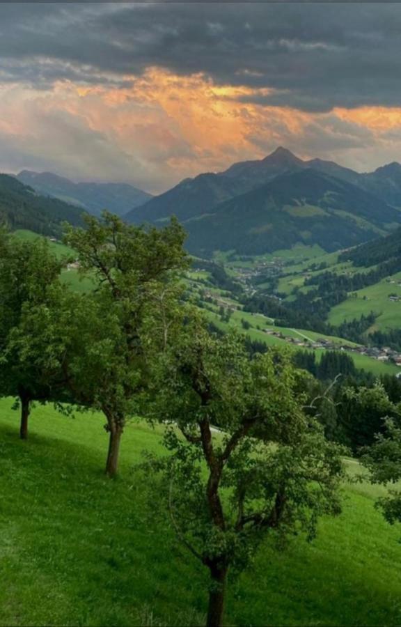 Haus Raimund " Klein Aber Fein " Apartamento Alpbach Exterior foto