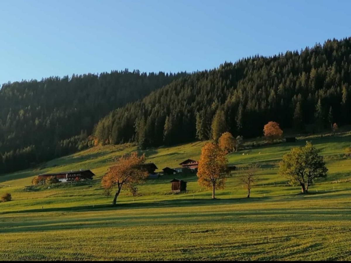 Haus Raimund " Klein Aber Fein " Apartamento Alpbach Exterior foto