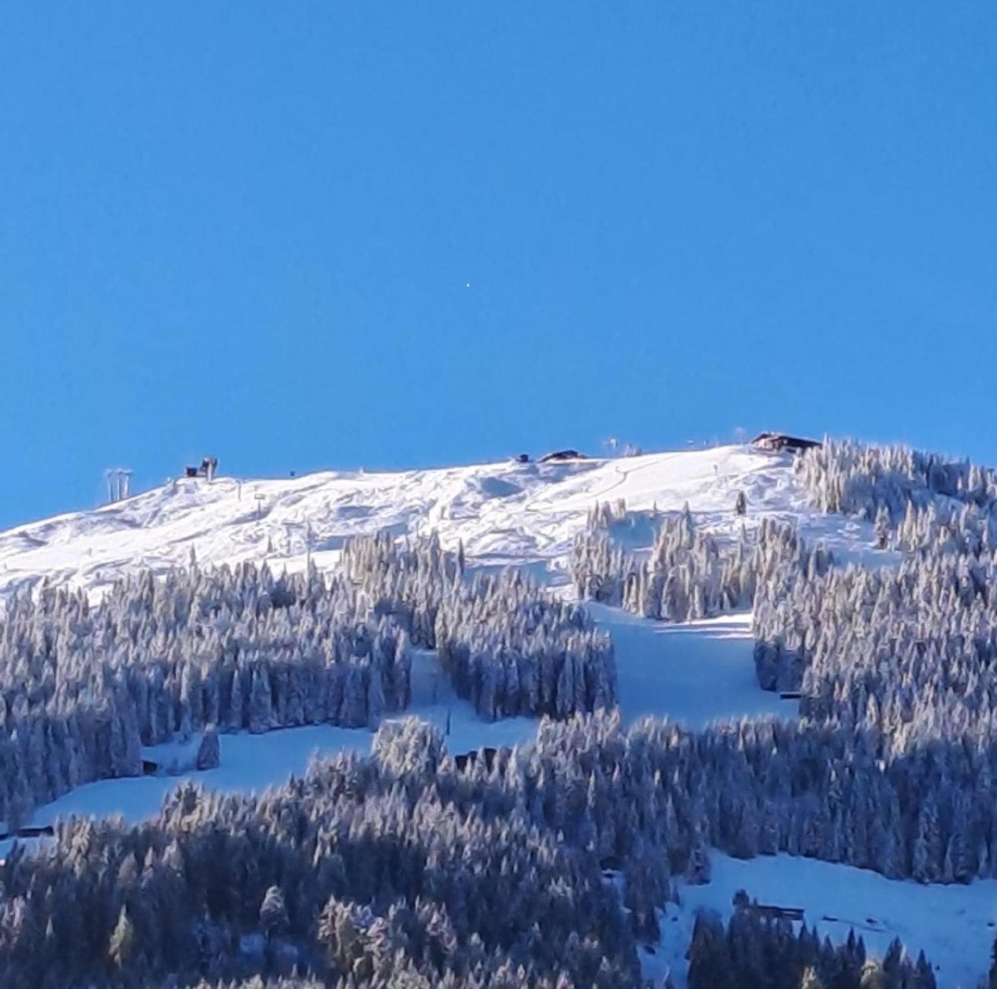 Haus Raimund " Klein Aber Fein " Apartamento Alpbach Exterior foto